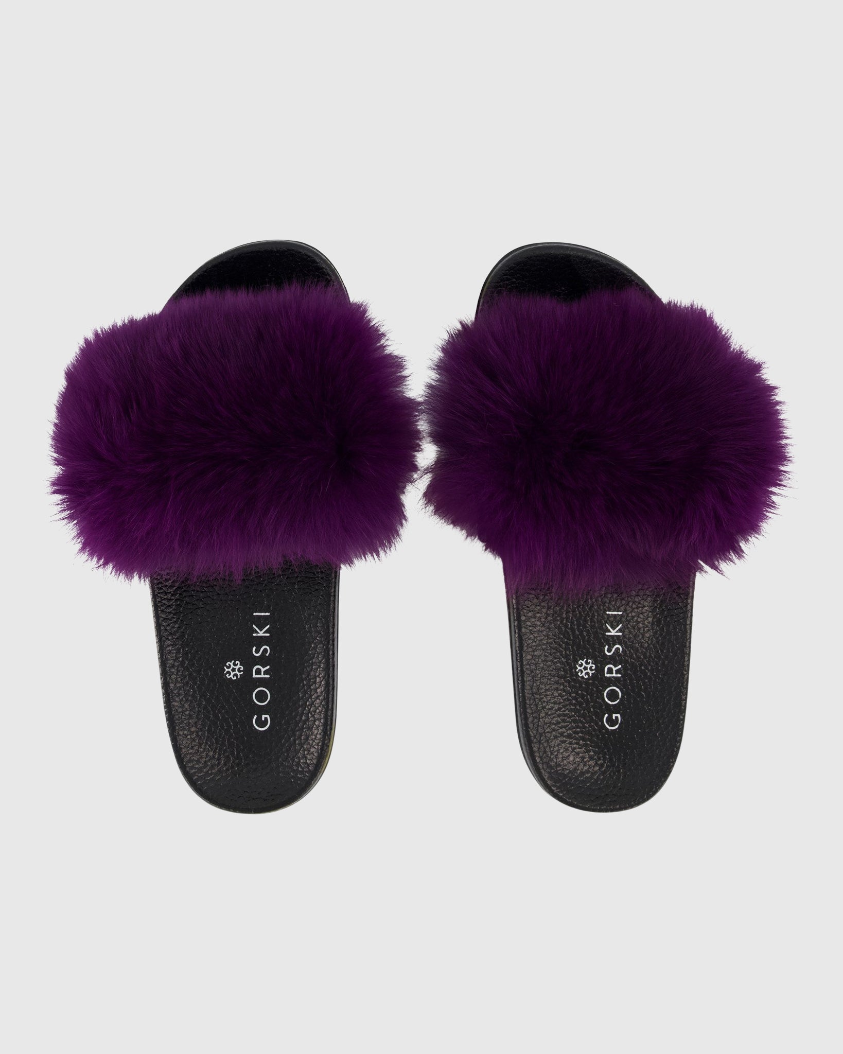 #Color_PURPLE